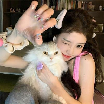 完美妻子的完美复仇计划